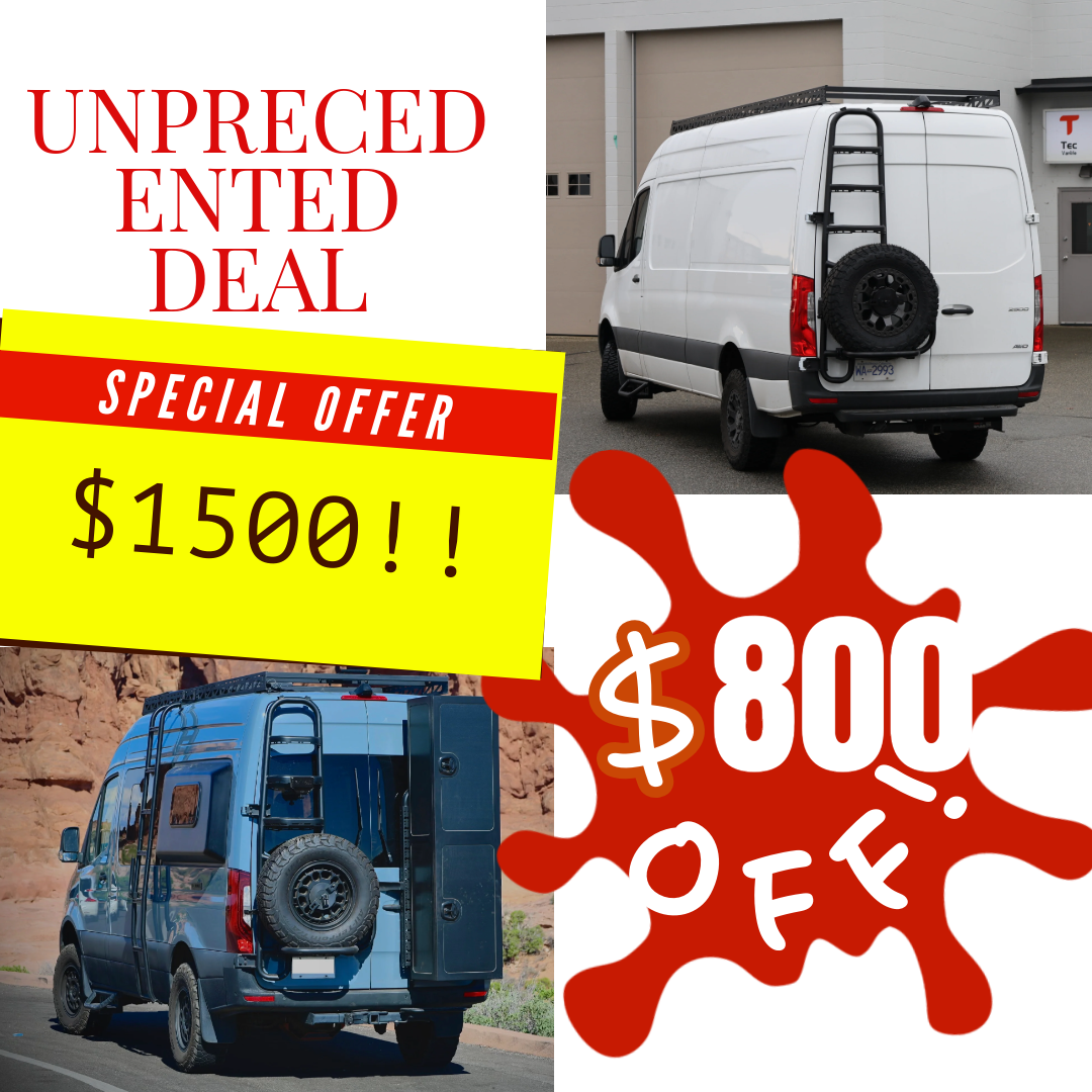 Sprinter two-in-one tire ladder carrier