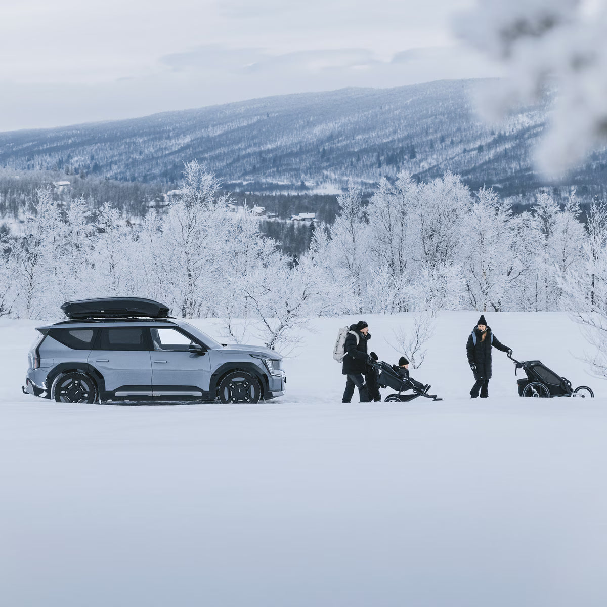 Thule Motion 3 XL Low
