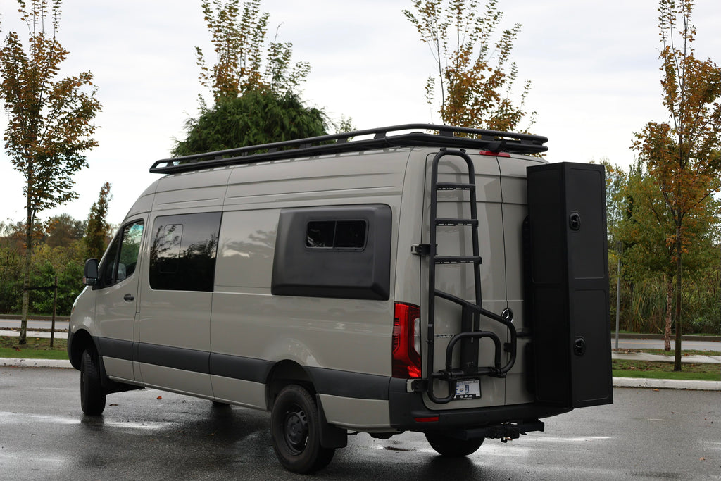 Sprinter two-in-one tire ladder carrier