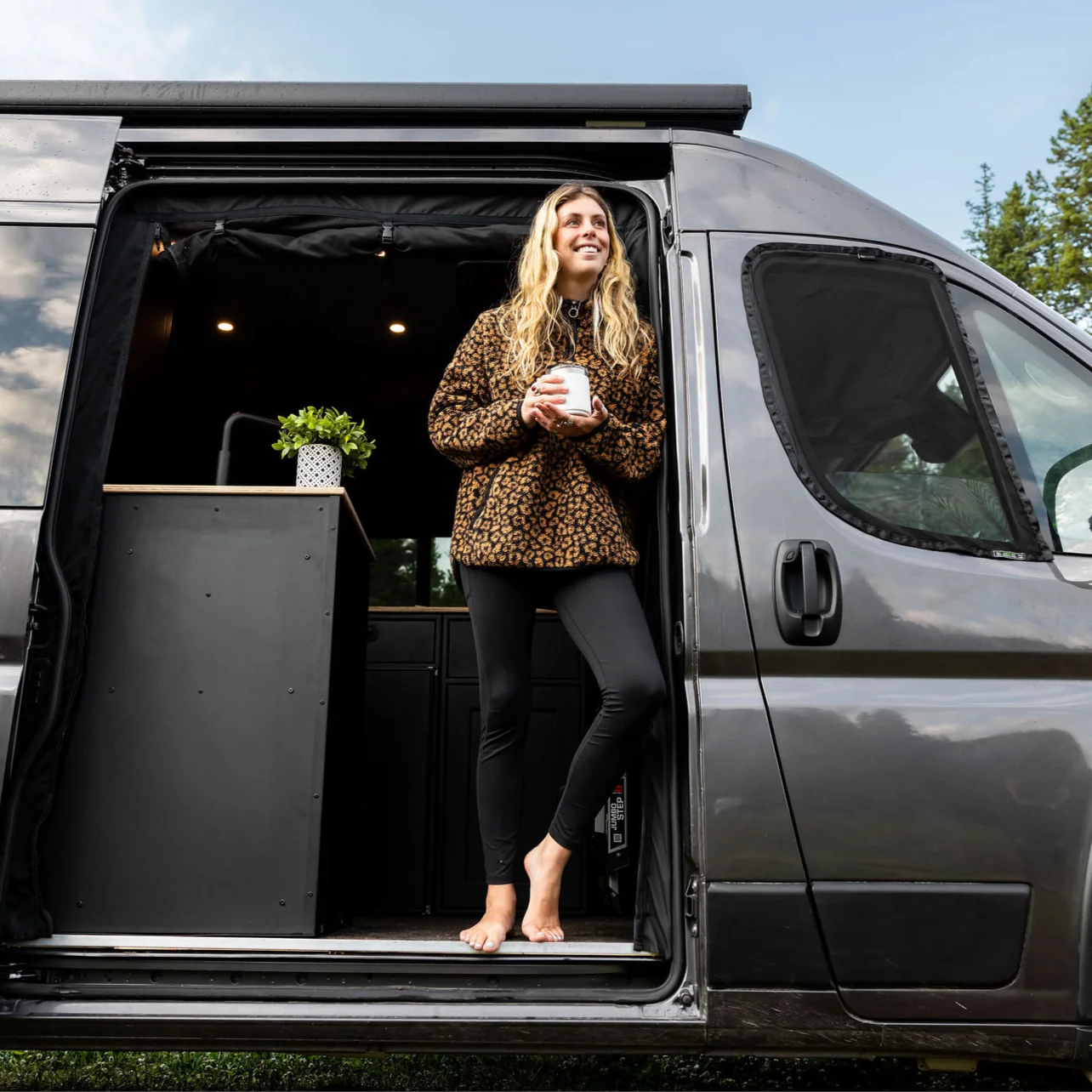 RamProMasterFrontDoorBugScreens_VanEssentiallife